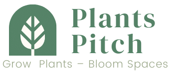 Plants Pitch